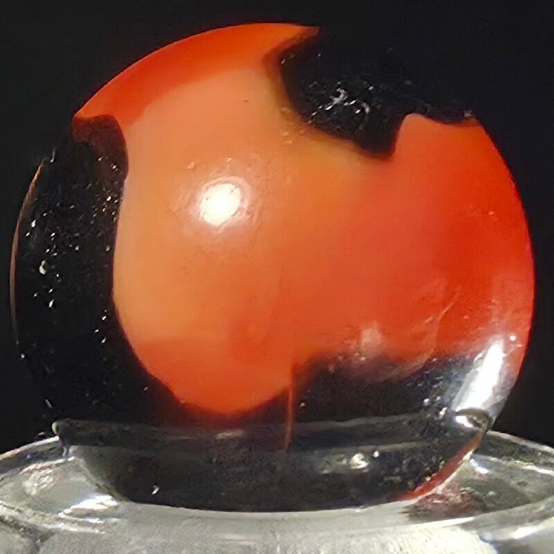 Peltier NLR Chocolate Cow W/ Nice AV .62