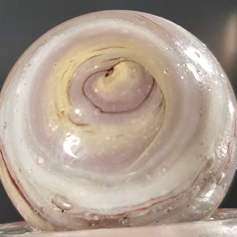 Grenier Transitional 4 Color W/ Ox .60 Mint (-) 9.0